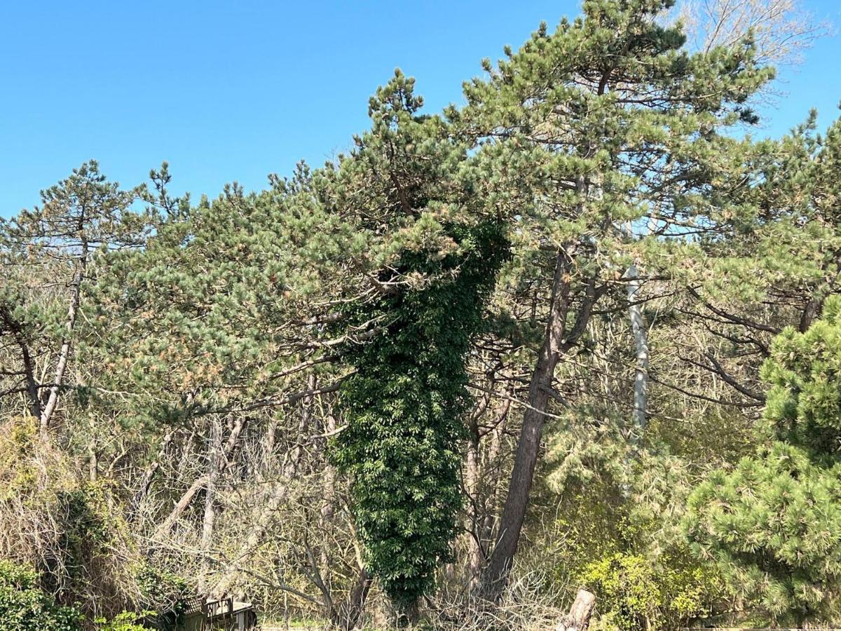 Haus-Groede-Whg-08 Διαμέρισμα Sankt Peter-Ording Εξωτερικό φωτογραφία